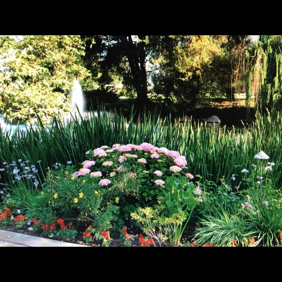 Not 4 sale - Picture 10 of 13